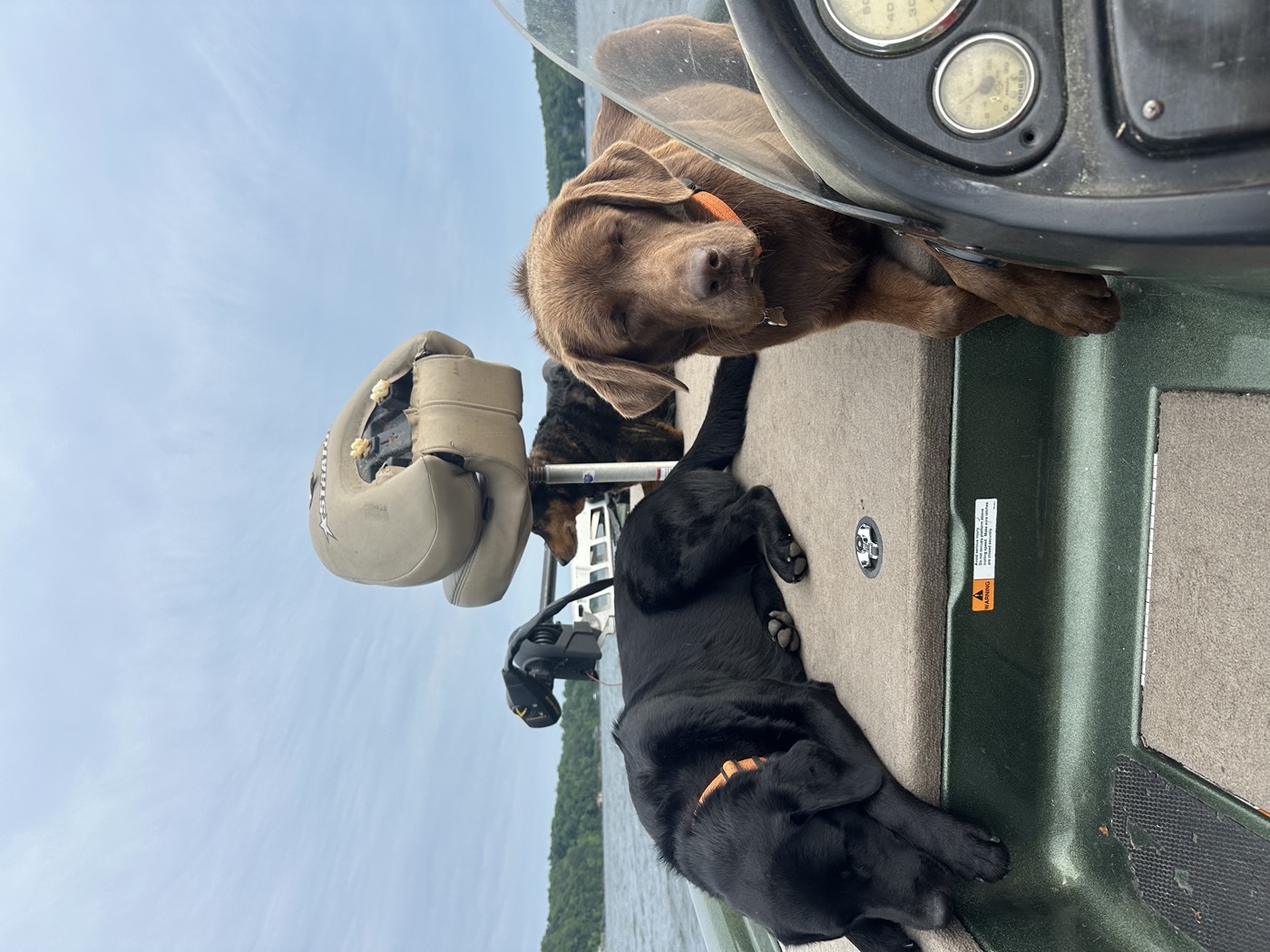 A black Lab and a chocolate Lab sprawled on the deck of a bass boat