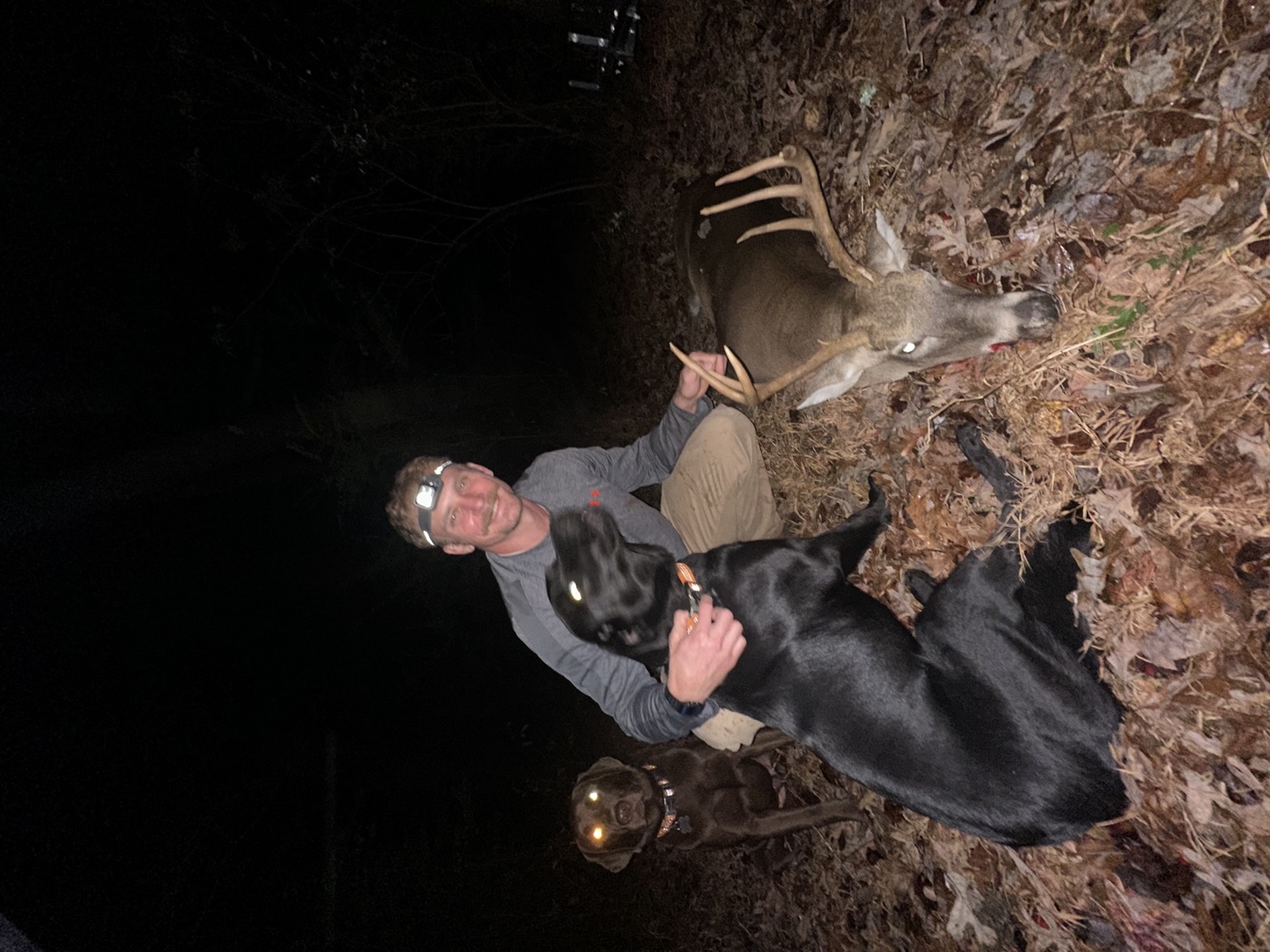 Jared kneeling at night with a headlamp beside a whitetail buck, both Labs helping