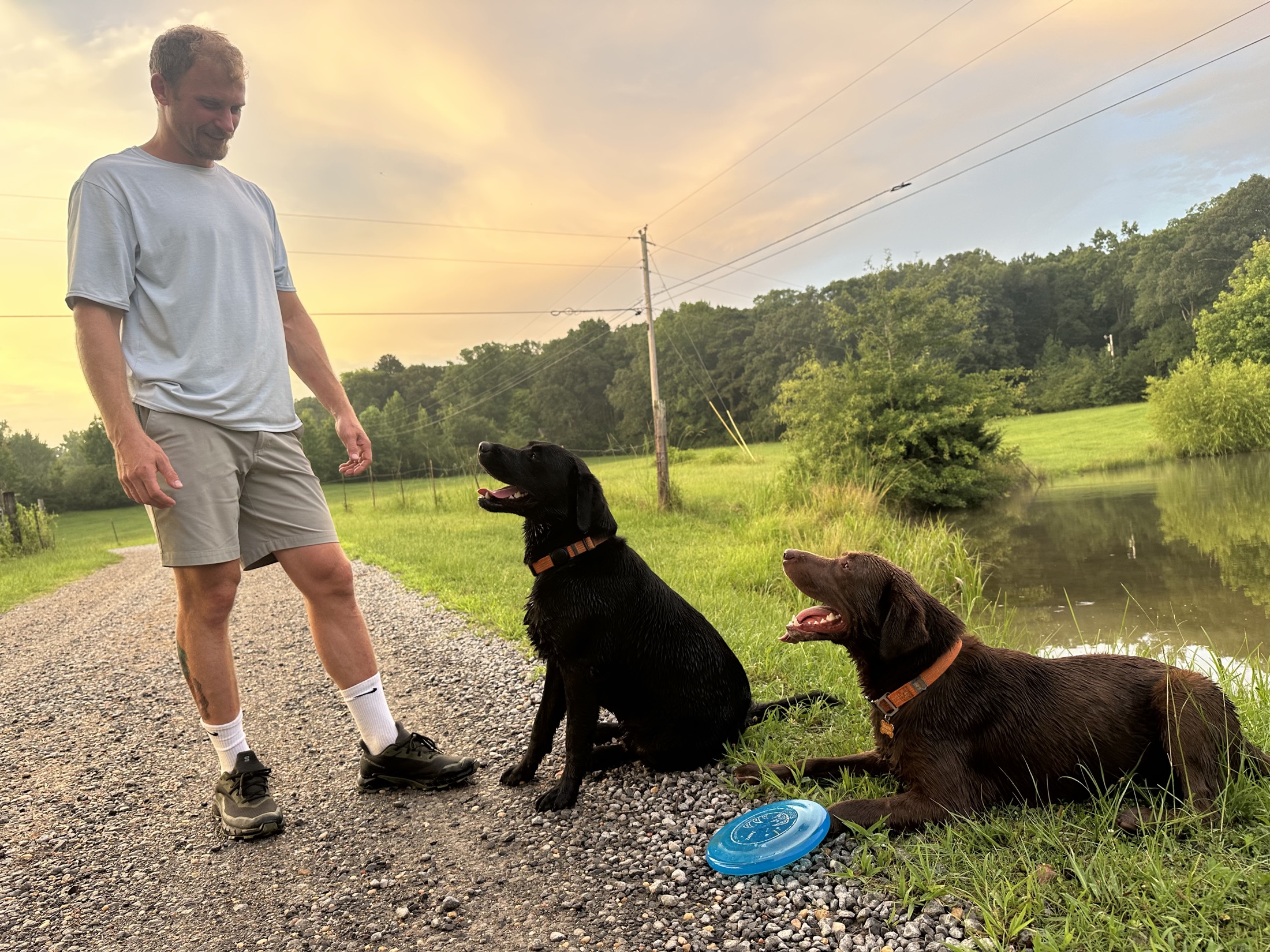 Jared standing on a gravel road at sunset with two Labrador retrievers waiting on a frisbee throw, a pond behind them